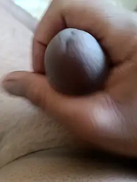 didi-33 online show from April 30, 2026, 1:17 pm