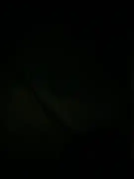 Snapshot of slutytransgal chatting on May 6, 2026, 2:08 am slutytransgal online show from May 6, 2026, 2:08 am