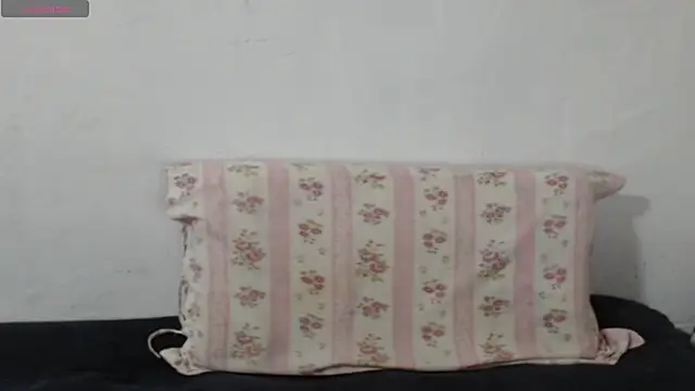 Snapshot of Brun3tt3n chatting on September 19, 2025, 3:41 am Brun3tt3n online show from September 19, 2025, 3:41 am