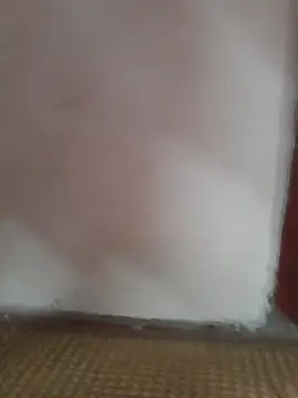 -Tara-a online show from June 21, 2026, 12:52 pm