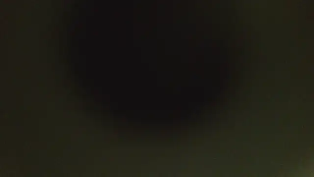 herpuppypeter online show from May 15, 2026, 1:45 am