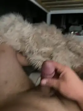 daddydonk69 online show from July 22, 2026, 3:37 pm