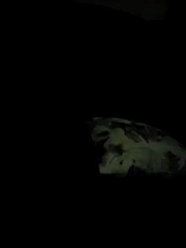 Tashaspicy online show from May 29, 2026, 2:53 am