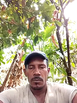 espaidermandf online show from July 17, 2026, 4:56 pm