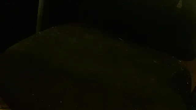 Snapshot of MagicCockMan chatting on June 20, 2026, 3:20 am MagicCockMan online show from June 20, 2026, 3:20 am