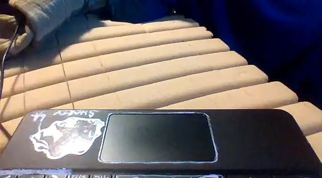 lilpervt online show from December 21, 2024, 7:45 am