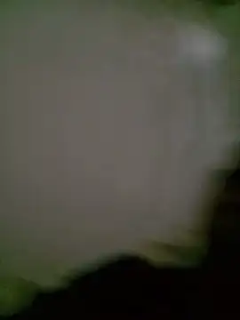 desnudo Sexoxo online show from January 2, 2025, 7:29 pm