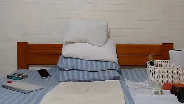 awild kitten online show from December 15, 2024, 11:45 am