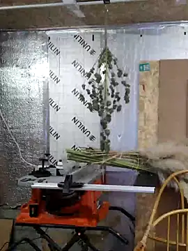 Snapshot of IronedTitan chatting on December 12, 2024, 2:26 am IronedTitan online show from December 12, 2024, 2:26 am