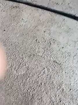 Bengali BULL1 online show from October 4, 2025, 5:05 am