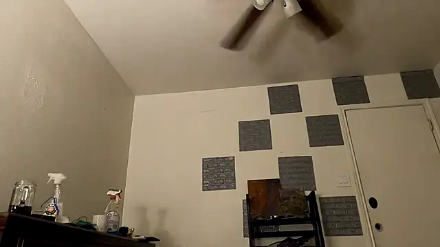 Snapshot of TheDaisyChaos chatting on March 14, 2025, 1:27 am TheDaisyChaos online show from March 14, 2025, 1:27 am