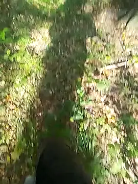 sarpe4 online show from September 14, 2025, 8:02 am