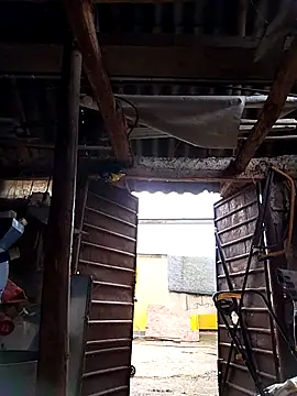 sarpe4 online show from October 4, 2025, 5:27 am