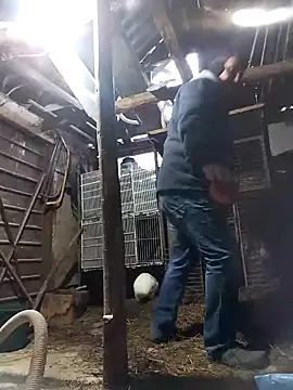 sarpe4 online show from February 21, 2026, 5:19 am