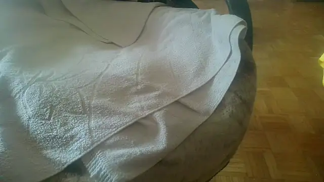 Snapshot of Python43 chatting on February 20, 2025, 8:39 am Python43 online show from February 20, 2025, 8:39 am