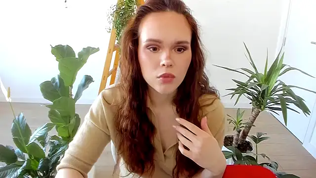 Pokemeboy online show from January 31, 2025, 10:20 am