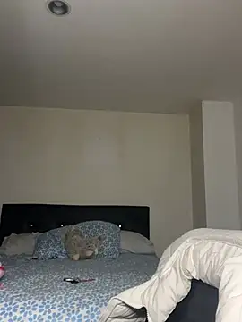 Snapshot of swrennn19 chatting on February 17, 2025, 10:47 pm swrennn19 online show from February 17, 2025, 10:47 pm