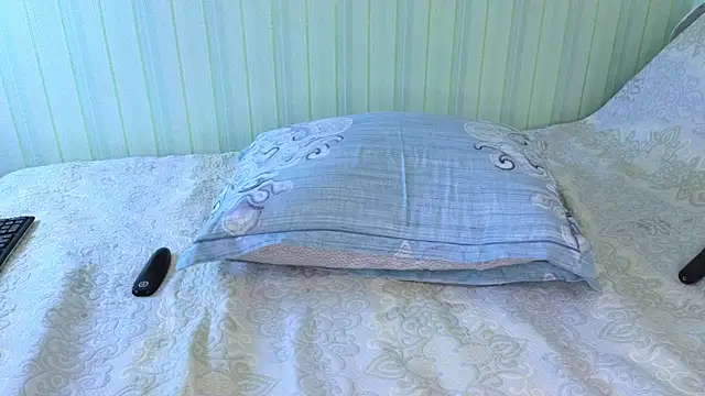 Snapshot of _Lily_ chatting on February 4, 2025, 11:16 am  Lily  online show from February 4, 2025, 11:16 am