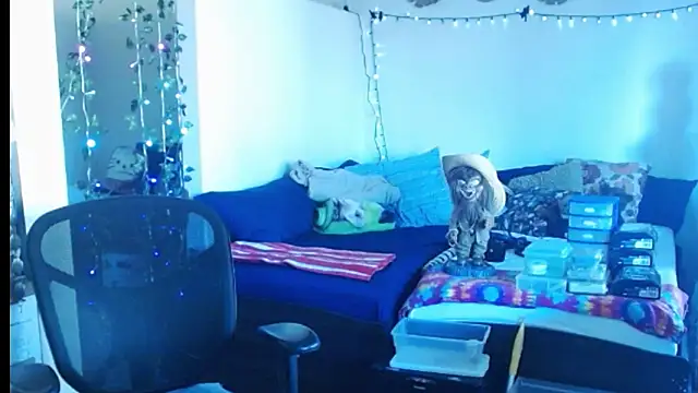 Snapshot of mycock2474u chatting on February 25, 2025, 3:38 pm mycock2474u online show from February 25, 2025, 3:38 pm