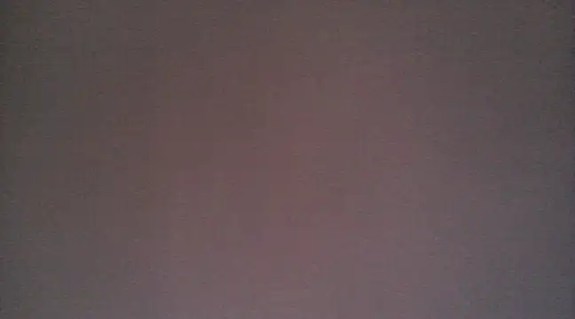 Snapshot of NIRVANA chatting on December 29, 2024, 12:34 pm NIRVANA online show from December 29, 2024, 12:34 pm