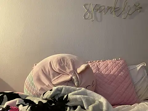 bunnypillow online show from December 10, 2024, 4:24 am