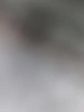 Leo Big online show from January 22, 2025, 12:38 pm