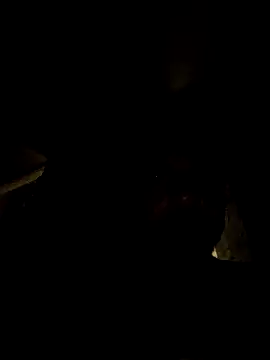 tropikboy online show from March 21, 2026, 12:48 am