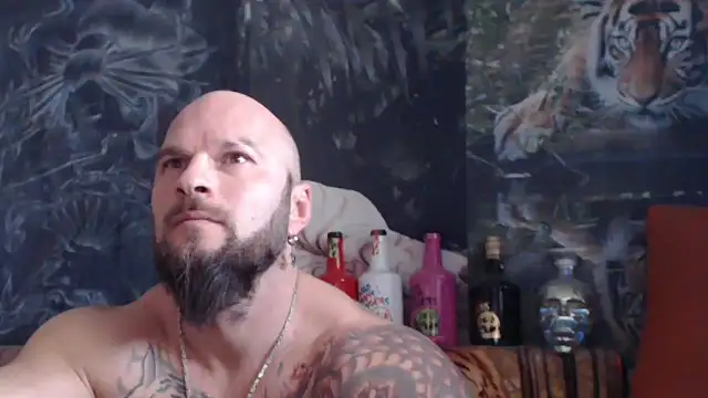 viking 30 online show from November 12, 2025, 11:10 am