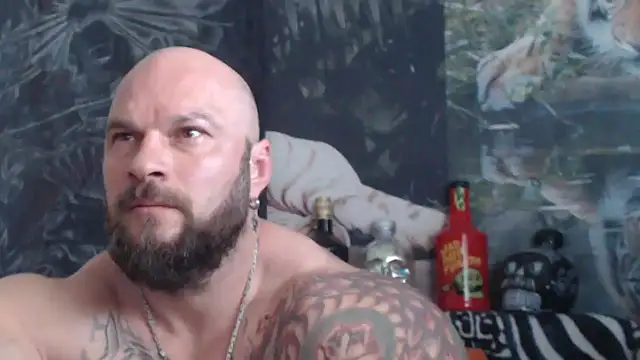 Snapshot of viking_30 chatting on May 21, 2026, 6:42 am viking 30 online show from May 21, 2026, 6:42 am