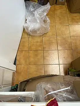 Mindnorthcam2 online show from February 16, 2026, 7:48 am