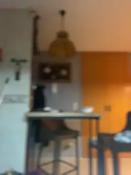 camelia3 online show from February 25, 2026, 12:42 am