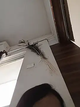 Manjushri35 online show from February 14, 2025, 4:47 am