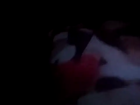 PrinceNoAlbert online show from December 15, 2024, 1:02 am