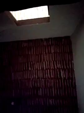 Snapshot of catdool chatting on January 22, 2025, 8:18 am catdool online show from January 22, 2025, 8:18 am