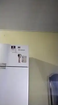 Snapshot of catdool chatting on February 14, 2025, 10:07 am catdool online show from February 14, 2025, 10:07 am