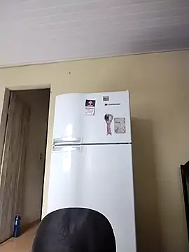 Snapshot of catdool chatting on February 25, 2025, 12:03 pm catdool online show from February 25, 2025, 12:03 pm