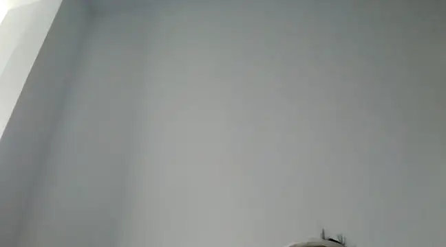 FallenDevil online show from December 29, 2024, 11:40 am