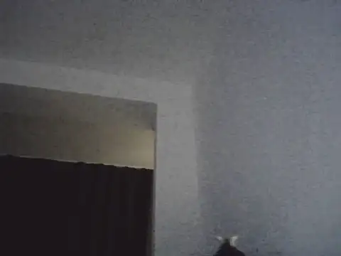 FallenDevil online show from March 13, 2026, 7:09 pm