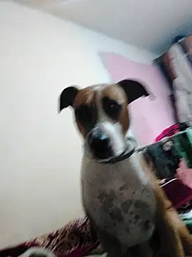 JoLeNe27 online show from October 6, 2025, 4:54 am