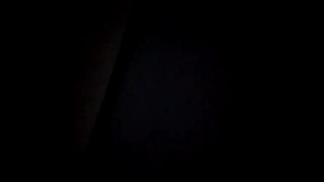 zaadslet2000 online show from July 11, 2026, 2:14 am
