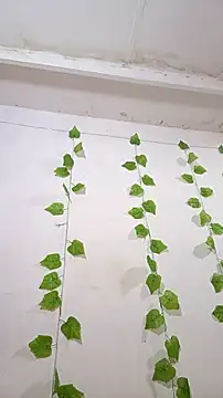 Snapshot of shayna_all chatting on November 25, 2025, 6:08 pm shayna all online show from November 25, 2025, 6:08 pm