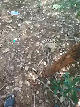 Snapshot of rameshmry1 chatting on February 21, 2026, 8:59 am rameshmry1 online show from February 21, 2026, 8:59 am