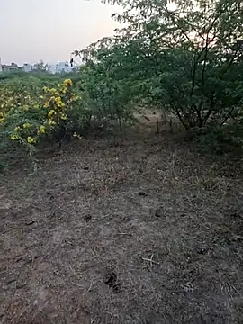 Snapshot of rameshmry1 chatting on March 5, 2026, 12:34 pm rameshmry1 online show from March 5, 2026, 12:34 pm