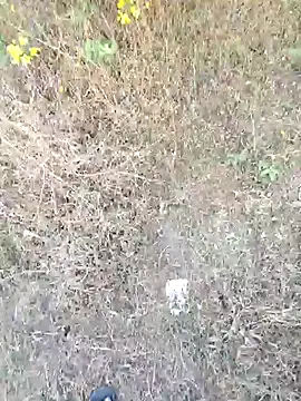 Snapshot of rameshmry1 chatting on March 21, 2026, 12:10 pm rameshmry1 online show from March 21, 2026, 12:10 pm