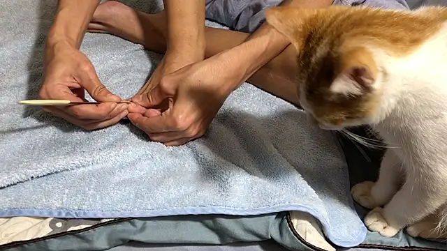 RiderFloor online show from February 8, 2026, 8:12 pm