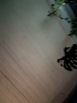 Snapshot of Nikkierosee chatting on December 14, 2024, 10:56 am Nikkierosee online show from December 14, 2024, 10:56 am