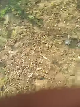 FinableKnee online show from October 27, 2025, 5:11 am