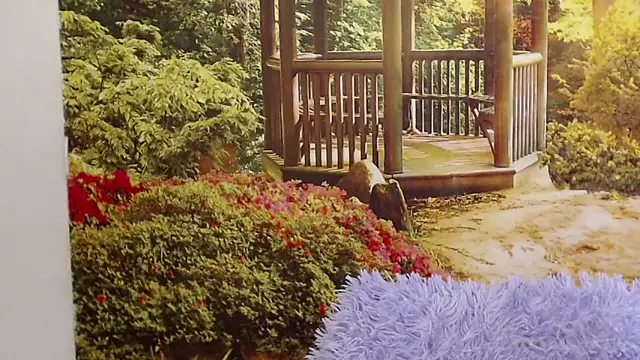 Pavla Soft online show from April 24, 2026, 9:01 am