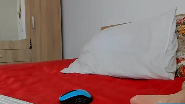 Snapshot of wildalissa chatting on January 31, 2025, 4:17 pm wildalissa online show from January 31, 2025, 4:17 pm