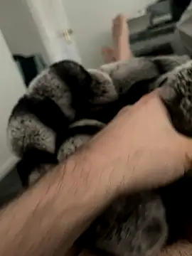 Snapshot of Furdale chatting on December 3, 2024, 11:33 am Furdale online show from December 3, 2024, 11:33 am